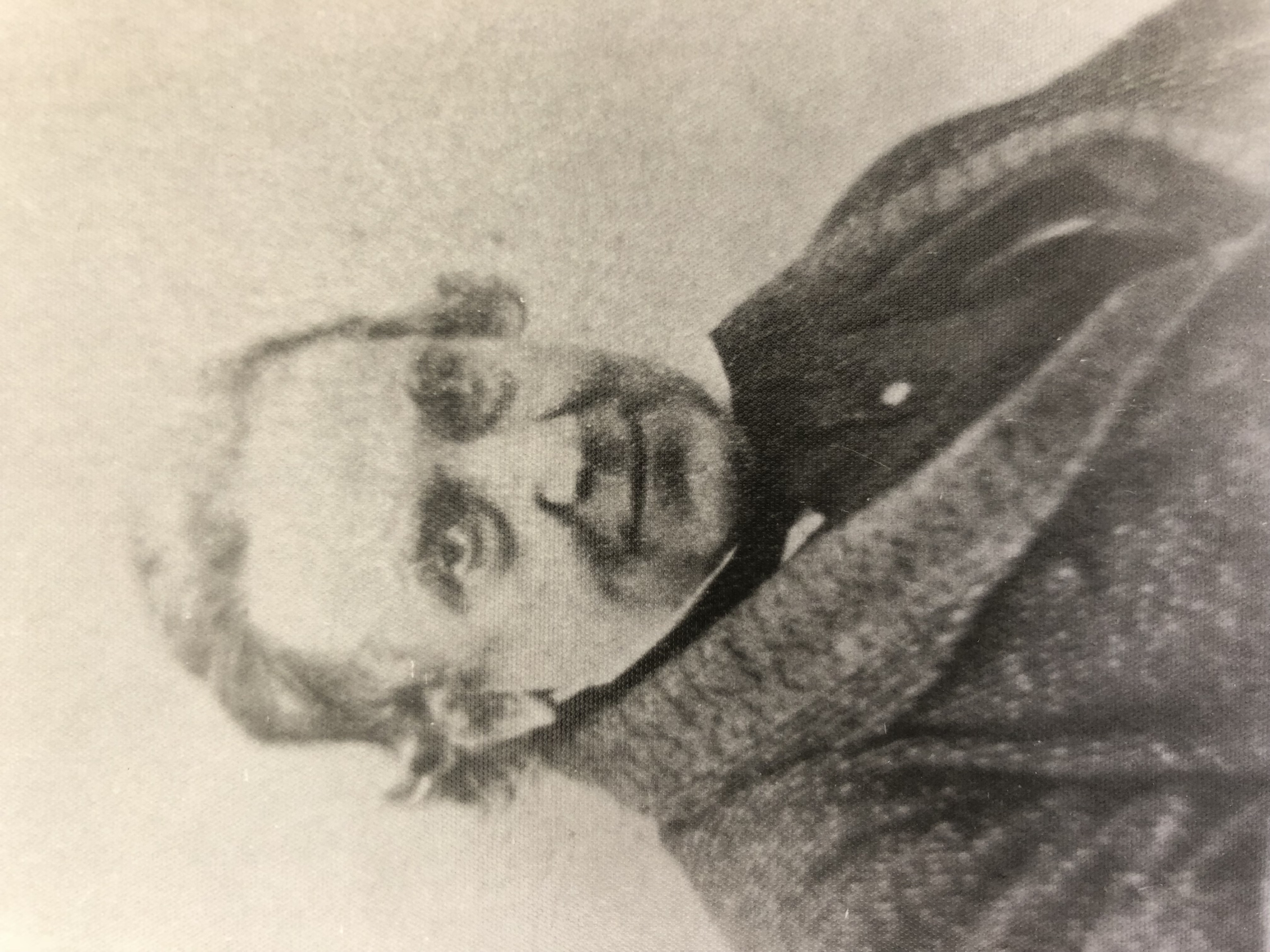 Medley, Francis William